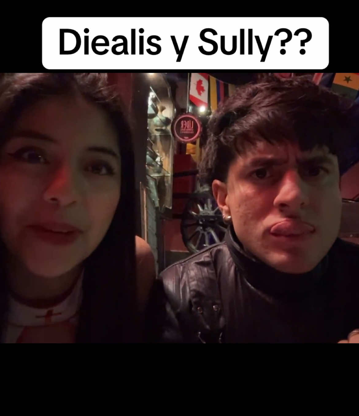 La wawita y sully? Nacera una novela?