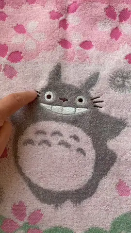 Which one should I choose? #totoro #CapCut 