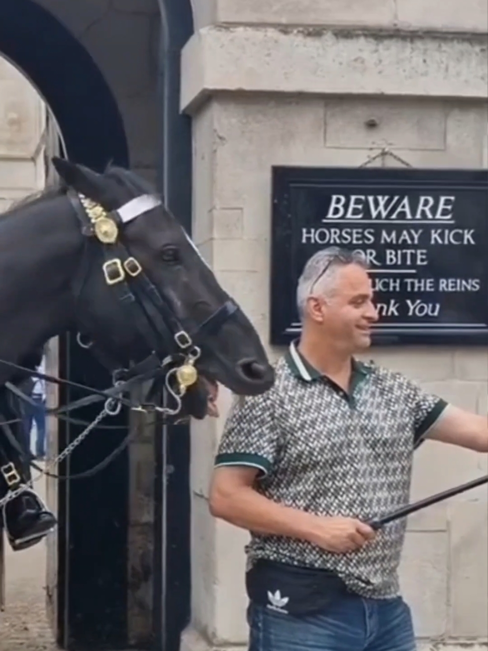 #horse #ormonde #kingsguard #horseguardsparade #london #tourist 