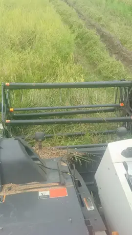 #batang #bagger #harvester #kubota #fyp #foruyou #videoviral #