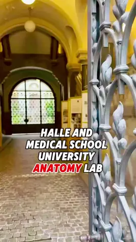 @atlneurosurgeon 👀 Insider Look at what it’s like to be a Neurosugery speaker and educator in Germany 🇩🇪  #premed #anatomy #lectures #cadaver #travel #neurosurgeon #orthopedics #fusion #complexspine #surgeon #tumor