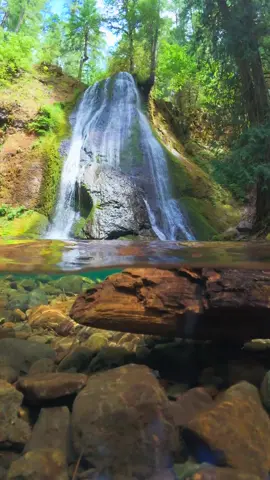 Floating in pools of crystal-blue water beneath an incredible waterfall, surrounded by nature’s pure tranquility 😌 #nature #Outdoors #cinematic #calm #waterfalls 