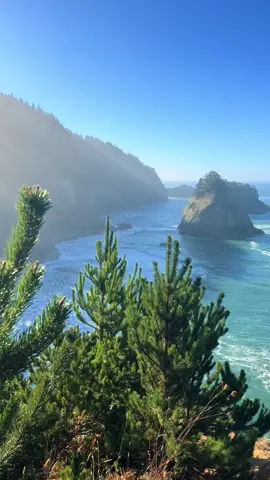 Samuel h Boardman scenic drive has so many spectacular views #pnw #pnwlife #nature #oregon #oregoncoast #oregoncheck #exploreoregon #southernoregoncoast #samuelhboardman #brookings #archrock 