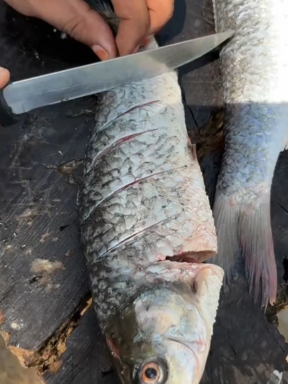 Fish Cooking Amazing ASMR videos #viralvideos #trending #amazing 