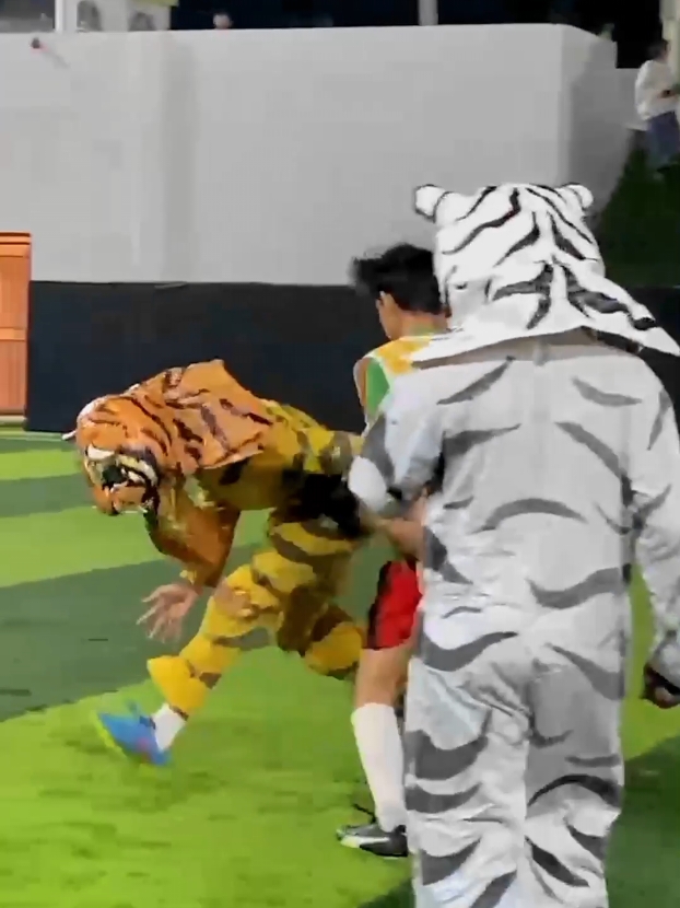 #Meme #MemeCut #CapCut 7 manusia harimau sepak @Rogo_wilis  bola #viral #ngakak #fyp #tranding #lucu #bantengan #macan #macanan #macanviral #batu24jam 