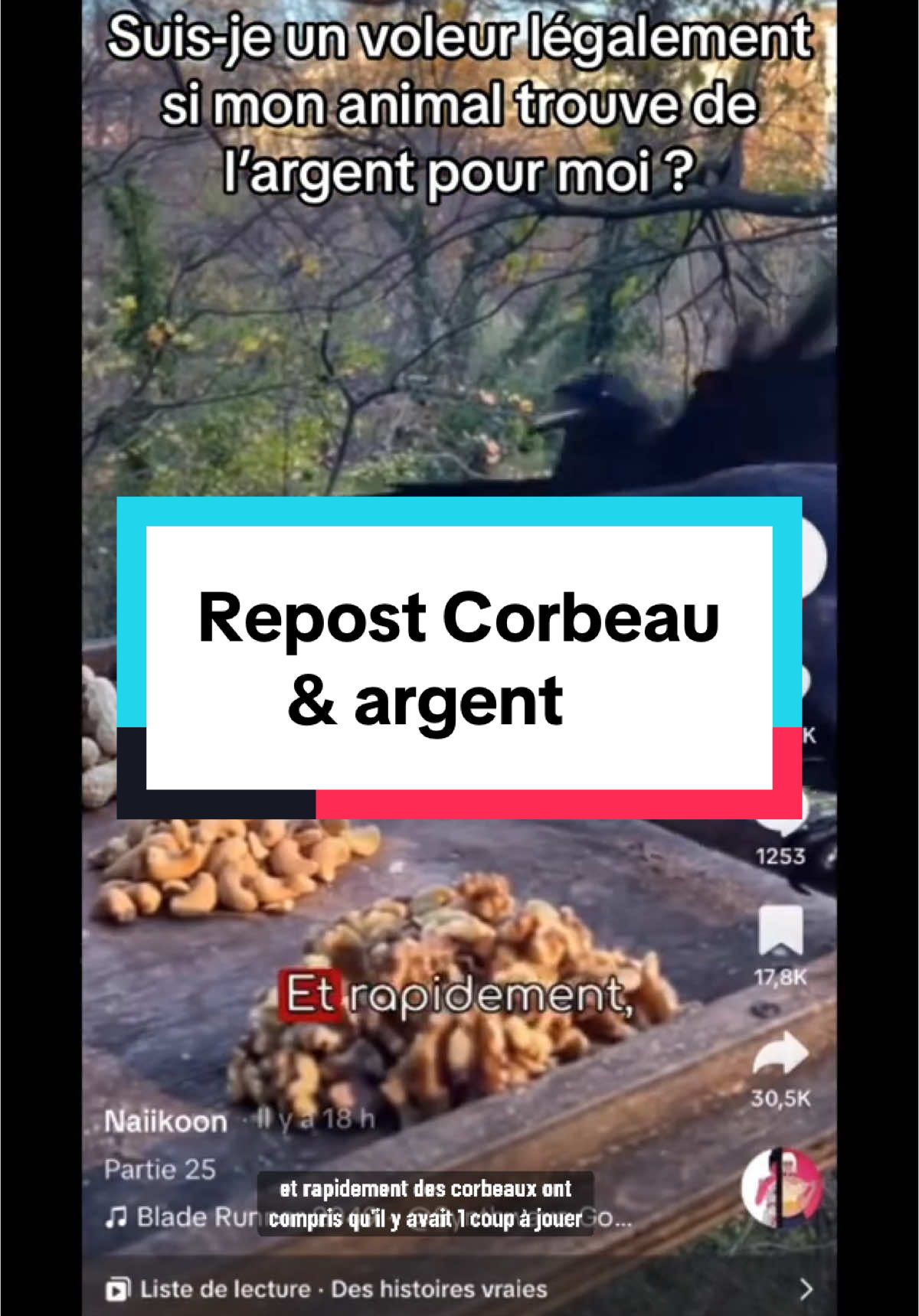 Repost corbeau et argent 🤣 | Géomancis Média