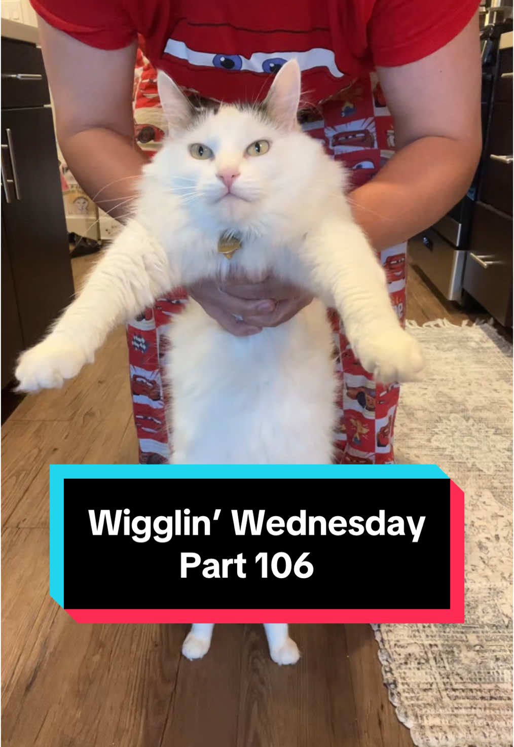 Wigglin’ Wednesday Part 106 🕺😶‍🌫️😈 the after-work wiggle party 🦭🔥 #cat #catsoftiktok #wigglinwednesday #melonnfinn #fyp