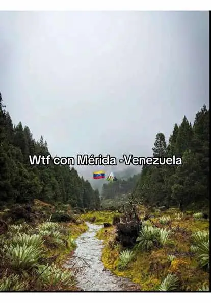 #merida  #meridavenezuela #latinoamericano  