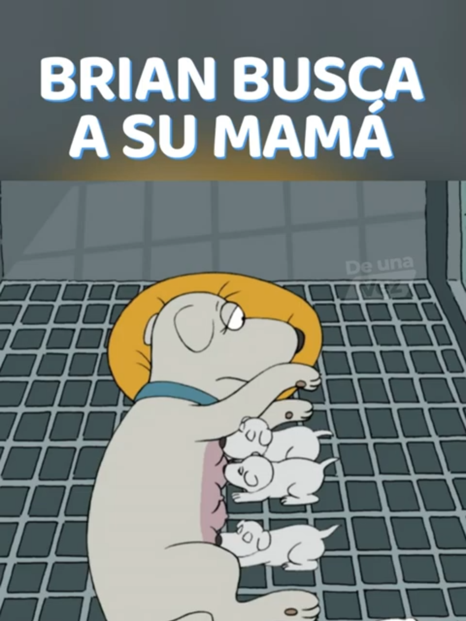 BRIAN BUSCA A SU MADRE  #padredefamilia #serieanimada