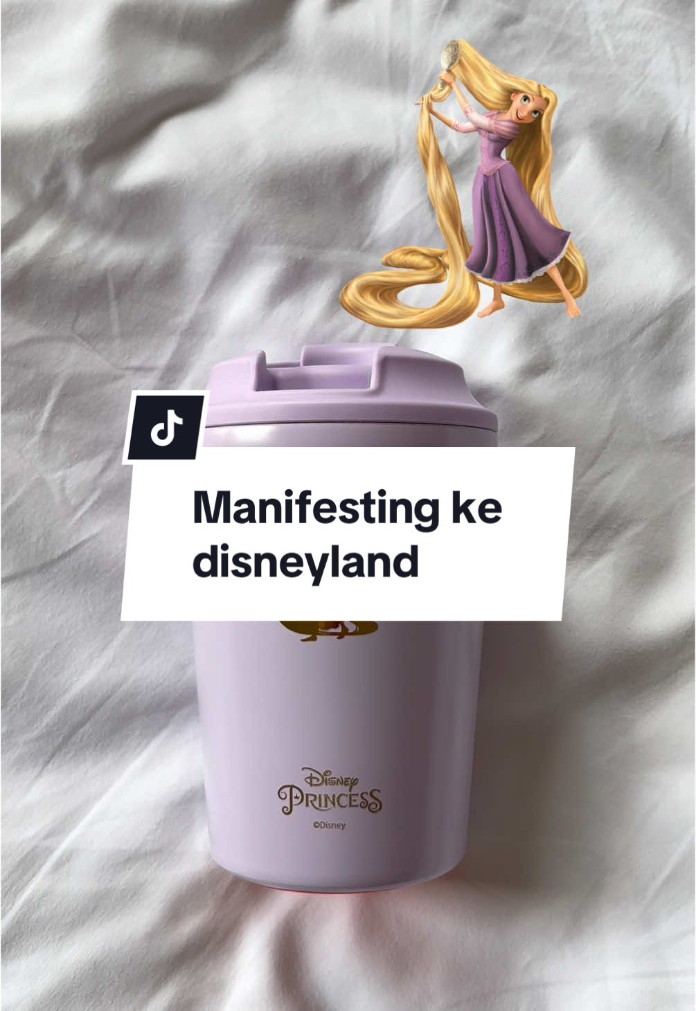 gapapa deh belum bisa ke disneyland yang penting udah punya koleksi tumbler disneynya dulu 🥹 #disneytumbler #disneyprincess #tumblerviral #rekomendasitumbler 