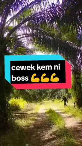 etu coma contin ja ba cewek kem ni boss singor dong#🤣@www.nurmilatiktok.com 