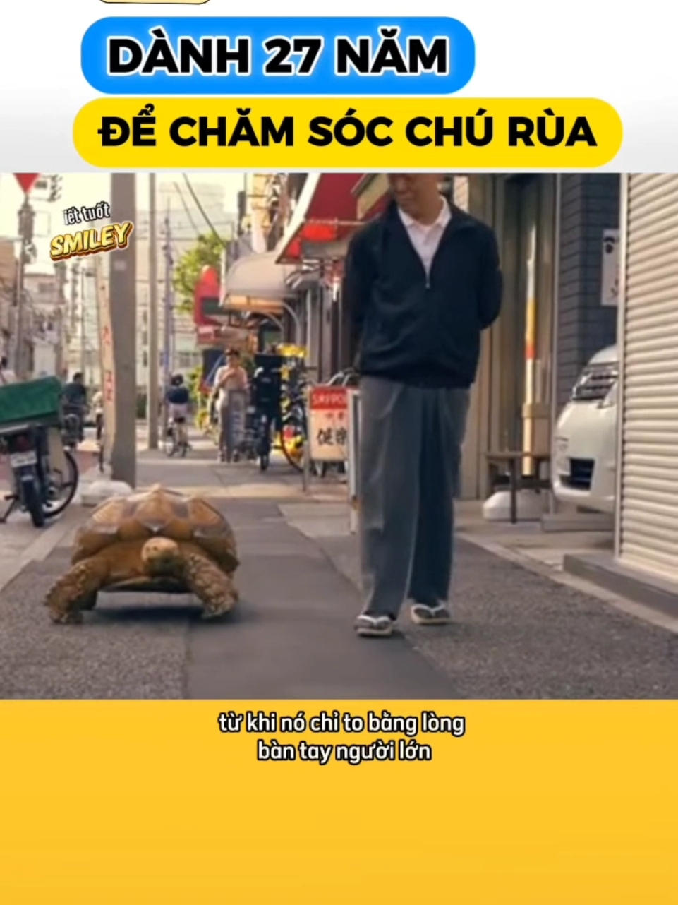 Ông cụ dành 27 năm để chăm sóc chú rùa .