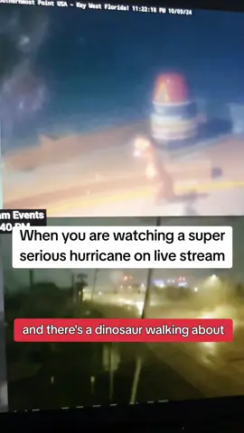 nowhere but Florida will you catch a dinosaur walking around on Livecam during a Hurricane #florida #hurricane #hurricanemilton #livecam #dinosaur 
