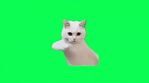 #CapCut  Cat dance  Part#2  green Screen .#GreenScreenScan #greenscreensticker #greenscreenvideo #catsoftiktok #viral_video #dance 