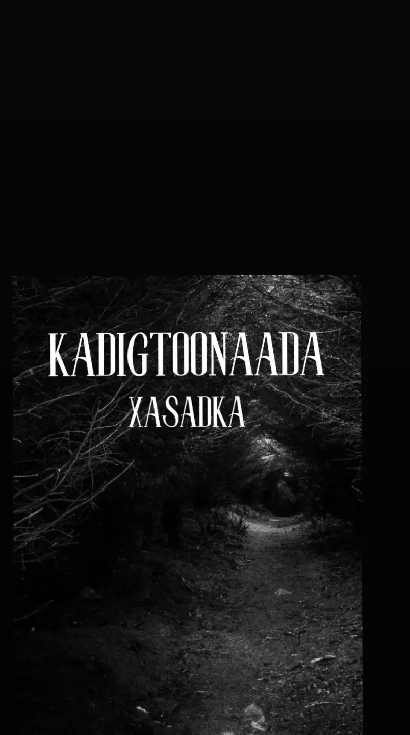 #kadigtoonada_xasadka