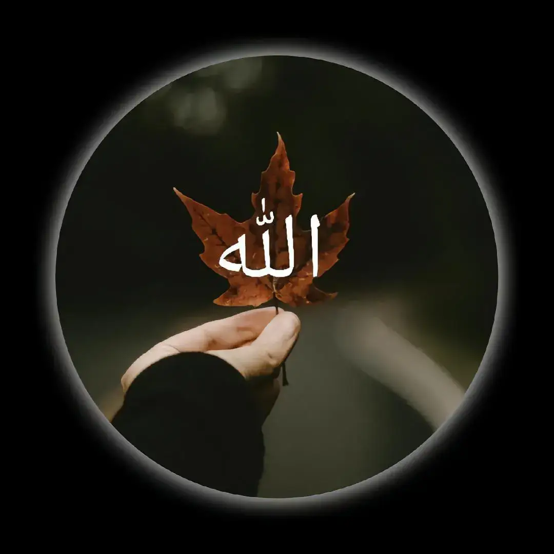 Allah 🤍😌 #onthisday #foryou #foryoupage #videoviral #dpz📸 #viralvideo #tiktok #fpy #mycontent #request_done_✅ #unfrezzmyaccount #Love #growmyaccount 