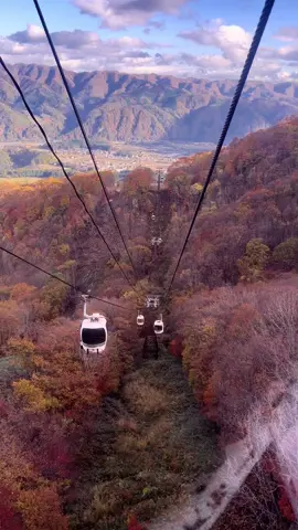 Cáp treo Hakuba 🍁🍁🍁 #xuhuong #kamikochi #hakuba #dulichnhatban 