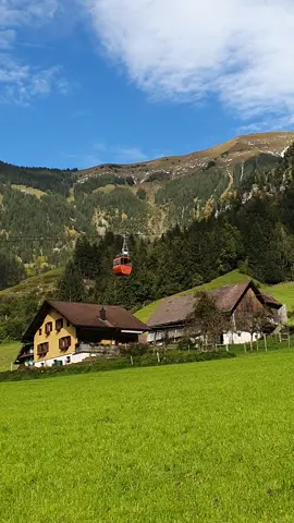 Das Buiräbähnli 🚡 Fell - Spis, im Herzen von Oberrickenbach. Ganzjährig in Betrieb, per 📞 an der Station. Von Spis nach Sinsgäu geht's weiter im "Niederberger Schiffli". 🇨🇭 Josef Durrer betreut beide Seilbahnen und empfängt die Wanderer mit Freude. #Oberrickenbach #Nidwalden #cablecar #adventure #Switzerland #swissalps #myswitzerland #Schweiz #seilbahn #Engelbergertal #mountains #🇨🇭 #fyp #foryoupage #forypage