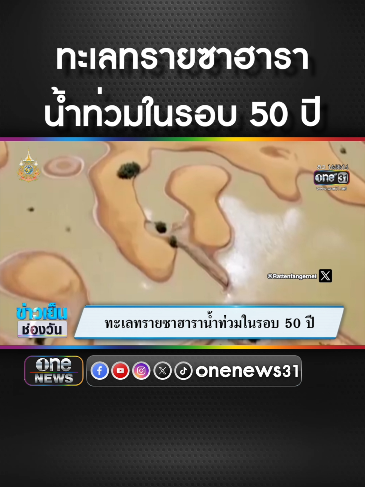 #ทะเลทรายซาฮารา น้ำท่วมในรอบ 50 ปี #ข่าวช่องวัน #ข่าวtiktok #สํานักข่าววันนิวส์  ไฮยีน หอมสดชื่นยาวนานตลอดวัน สกัดจากธรรมชาติ 100% #ไฮยีน #หอมสดชื่น #น้ำยาปรับผ้านุ่ม #งานบ้านที่รัก