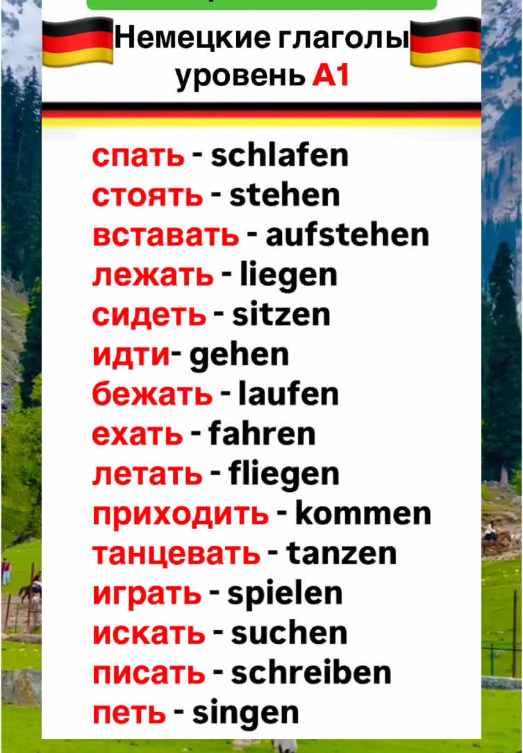 #deutschland #немецкийязык #немецкий🇩🇪легко #рек #изучениеязыков #швейцария #бельгия #австрия #украинскийтикток #казахстан #хочуврек #россия #deutschkurs #работавгермании #немецкийонлайн #україна🇺🇦 #германия #беженцывгермании 