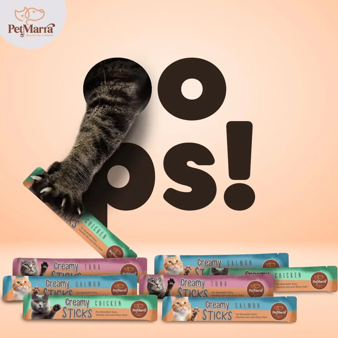 OooOps!! Someone is sneaking the irresistible and tantalizing taste of PetMarra Creamy Sticks! Available in 3 delicious flavors - Tuna, Salmon, and Chicken!   Provide your furry companion the best NUTRITION FOR A LIFETIME!💚🤎 #PetMarra #NutritionforALifetime #iLovePetMarra #SwitchUpwithPetMarra