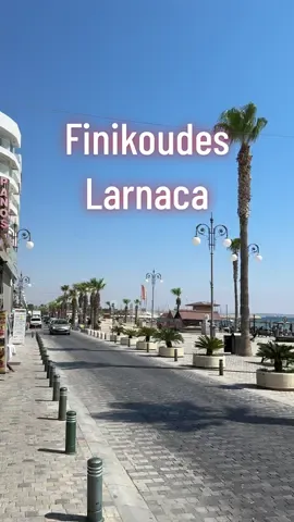 Finikoudes, Larnaca 🇨🇾 . . . #cyprus #cypruslife #cyprusfood #mediterranean #visitcyprus #mediterraneandiet #mediterraneansea #mediterraneanlife #bucketlistadventures #eeeats #underthecypriotsun #larnaka #cyprusbeach #cyprus❤️#larnakatourism #finikoudes #larnacacity 