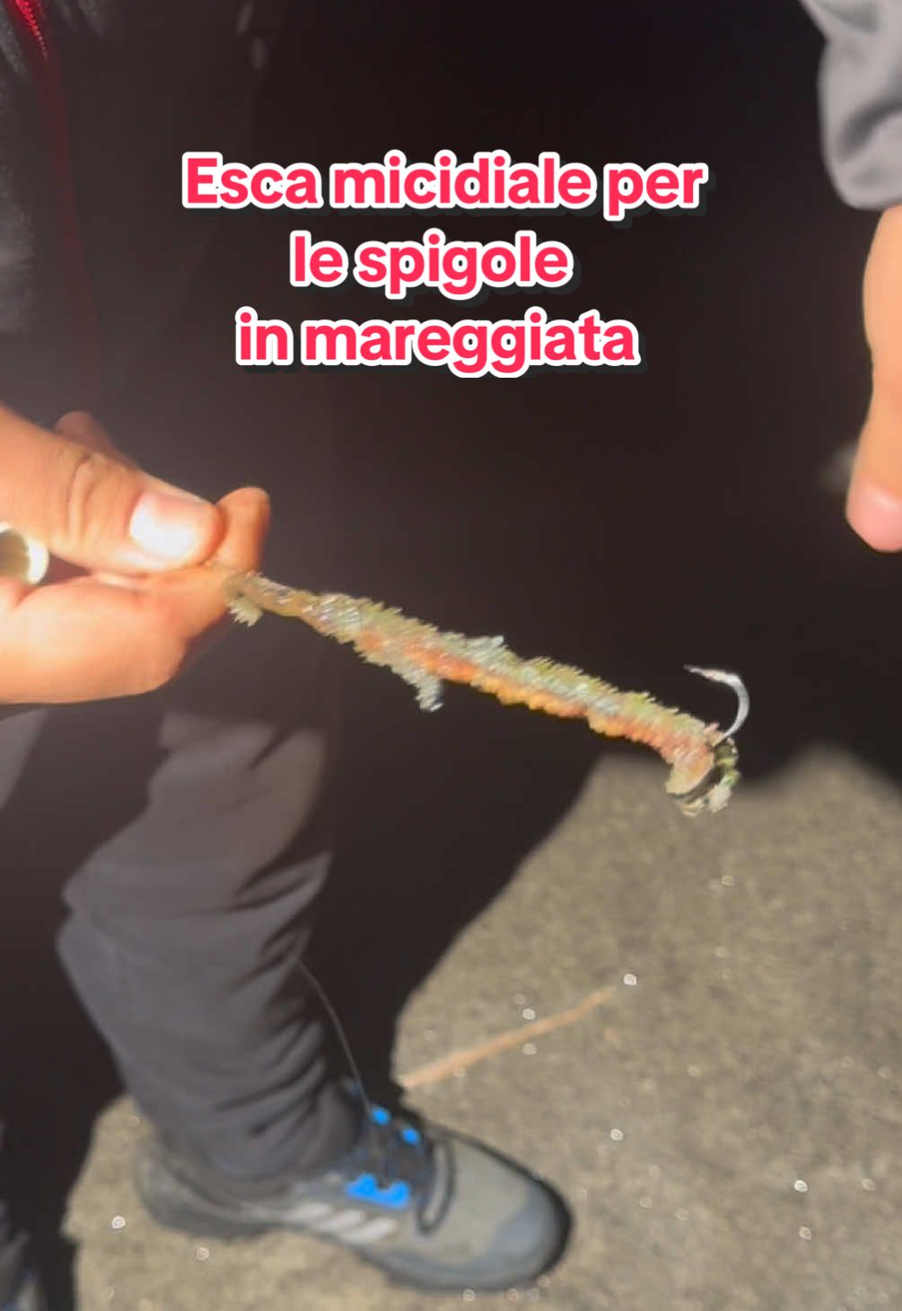 Esca micidiale per le spigole in mareggiata a Surfcasting ➡️ esca di pala o tubicola. #surfcasting #fishing #neiperte #viral #bait #lubina #spigola #mareggiata #sea #fishingtiktoks #napoli #pescador #fisherman #surfcastingitalia #surfcastingchallenge #gennaromargarita #pescaesportiva #dorada #sarago #surffishing 