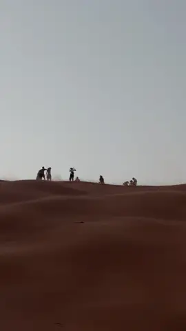 Safari tour ✨  #dubai #desert #cars #art #traveling #tour #adventure #fun 