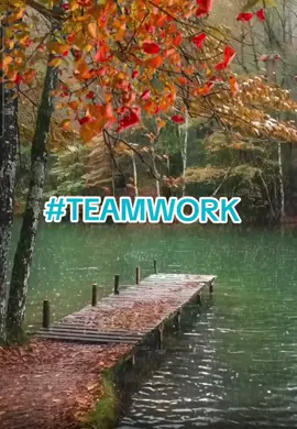 #fyp #teamwork #foryou #foryoupage #fy #foryourpage #fypage #viral #nature #rain #support #teamworkmakesthedreamwork #follow #friends 