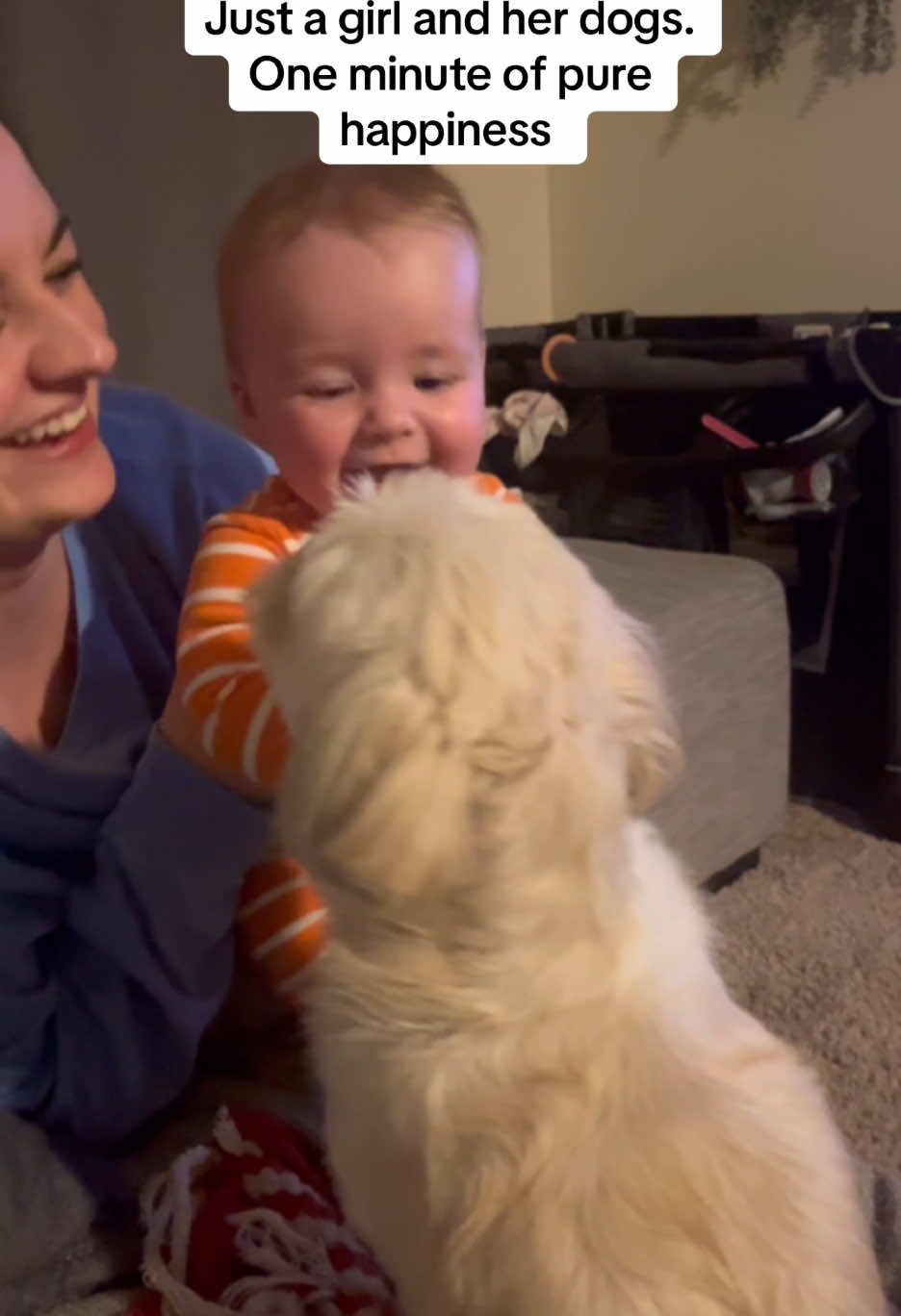 The pick-me-up you didnt know you needed. My whole heart captured in one video. #fyp #babylaugh #babywithdogs #foryou