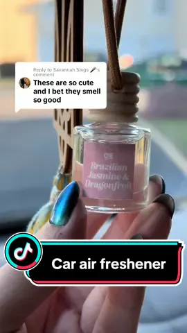 Replying to @Savannah Sings 🎤 car air freshener #giftideas #falldealsforyou #tiktokshopfinds #tiktokshopblackfriday #tiktokshopcybermonday #tiktokshopholidayhaul #fyp #carairfreshener #airfreshener #flashsale 