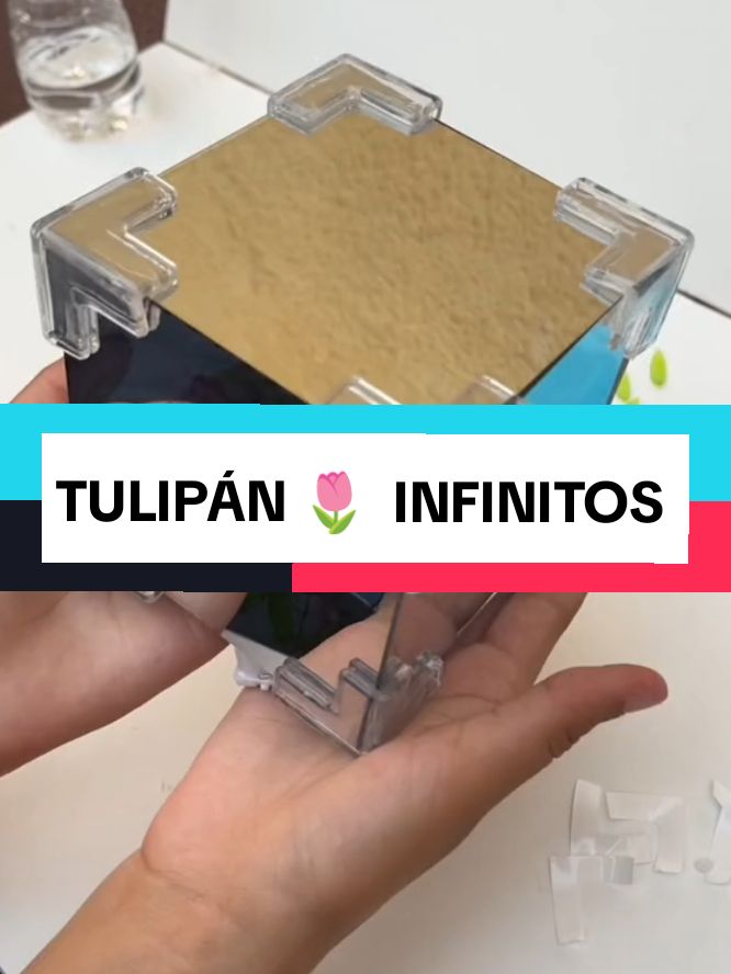 tulipanes infinitos más de 1000 unidades #tulipanes #tulipanes🌷 #tulipaneseternos #tulipanesinfinito💐💗✨🤍 #tulipan #fyyyyyyyyyyyyyyyy 