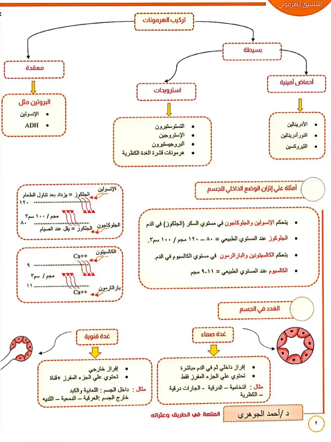 تلخيص تاني لفصل التنسيق الهرموني #دفعه2025🎓 #تالته_ثانوي #ثانوية_عامة #احياء 