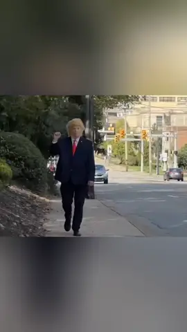 Fake Trump 