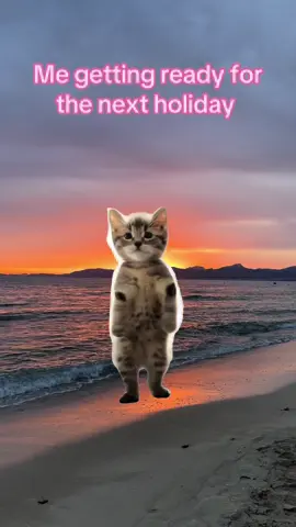#Meme #MemeCut #capcut_edit #fyp #fyppp #xyzabc #drunk #cocktails #holiday #memories #vibes #viralvideos #Summer #beach #sea #plane #viral_video #catlover #sunsetlover #letsgo #fypシ゚ 