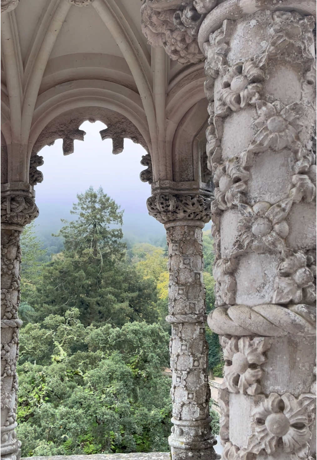 Quinta da Regaleira - beautiful gothic palace in Sintra, Portugal 🏰🌹  #quintadaregaleira #BookTok #bookworm #palace #castle #sintra #luxurylife #mansion #darkacademia #darkacademiaaesthetic #gloomy #dark #aestheticvibes #gothic #gothicarchitecture #architecture #gothicstyle #traveltiktok #travelbucketlist #traveldiaries #mustsee #epicview #epic #springcourt #autumnvibes #autumnaesthetic #acotar 