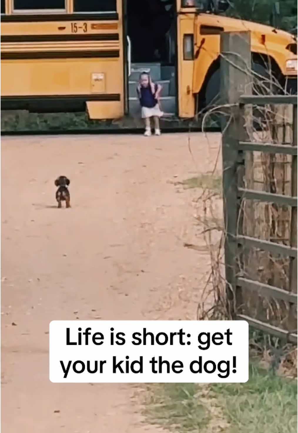 Just like from a movie 🥹 #dogsoftiktok #kidsoftiktok #wholesome  📽️@Adrianne Elise Hall 