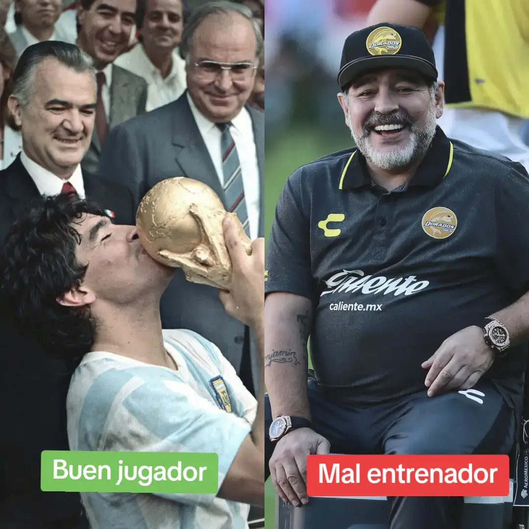 #maradona🇦🇷 #carlosancelotti #zidane #entrenador#jugador #foryou #fyp #foryoupage #viral #tiktokviral #futbol 