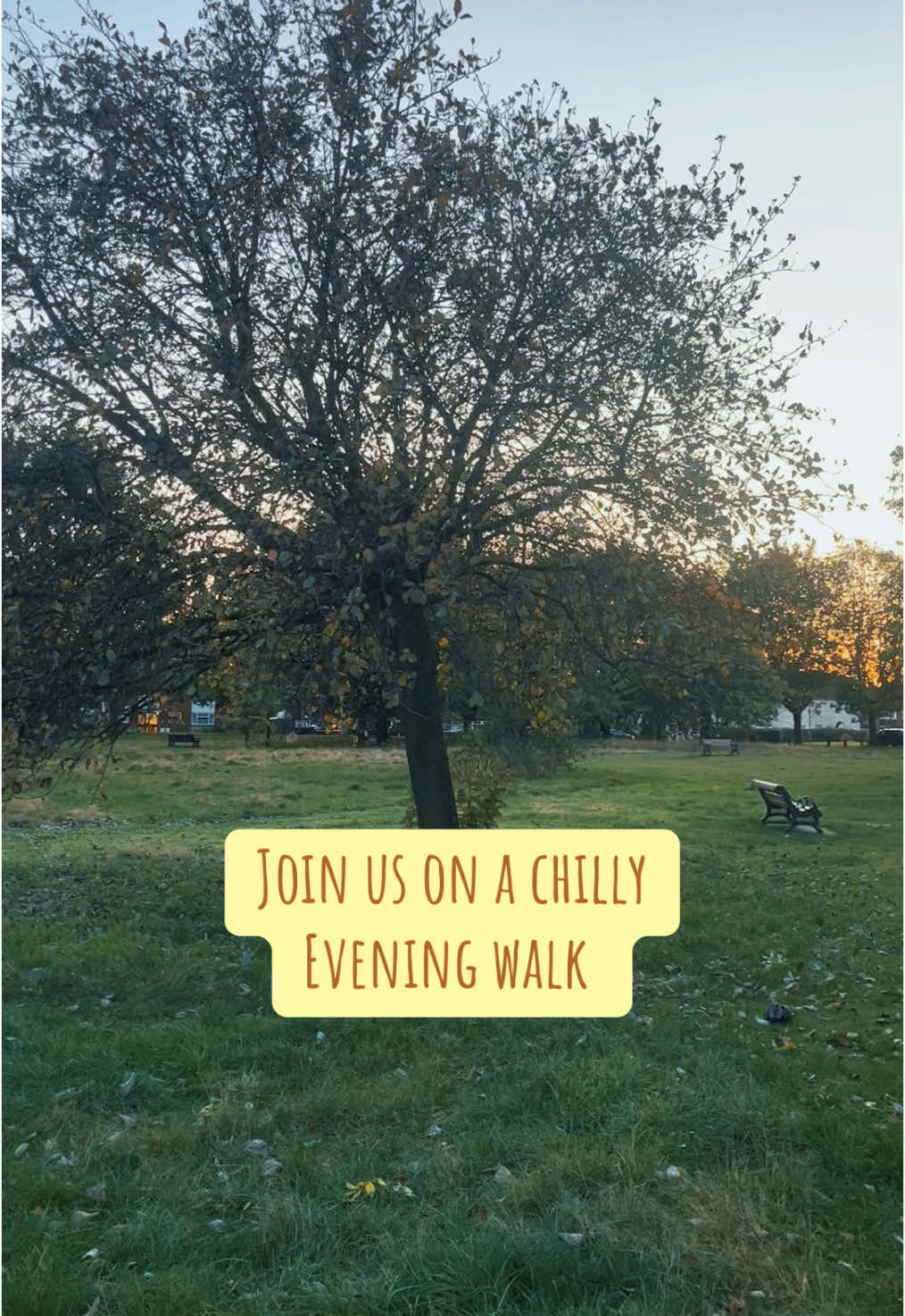 We enjoy a chilly evening walk with the dogs, as the sun sets across the common 🌙 A nice hot bath and the heating on ready for when I get home to my little family 🛁  #sunsets #eveningwalk #dogwalk #chillyevening #family #momlife #momtotwo #girlmom #maternity 