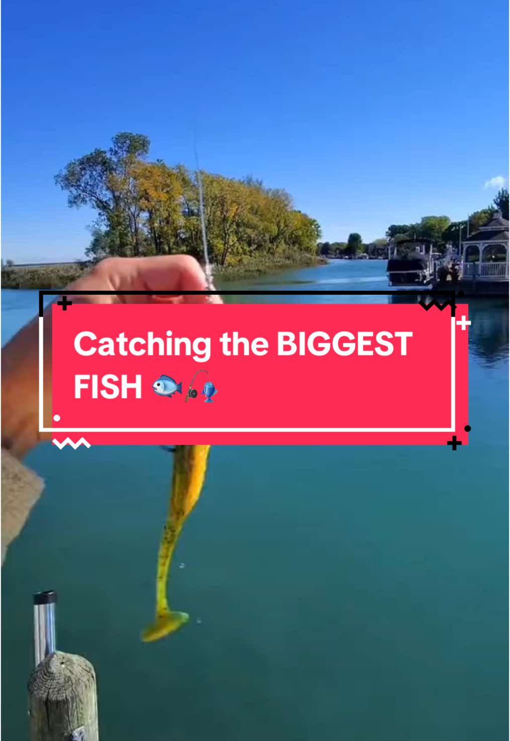 Lets catch the BIGGEST FISH we possibly can 🐟🎣 #fishing #fishingvideos #capcut 