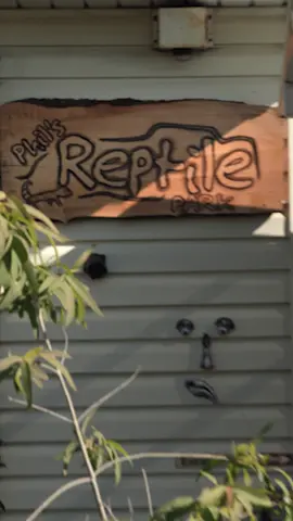 Australia's most dangerous animals live in one random guy's backyard. Here's your first look at #TheOffice, premiering October 18 on Prime Video. #FelicityWard #JonnyBrugh #ZoeTarakes #SteenRaskopoulos #EdithPoor #ShariSebbens