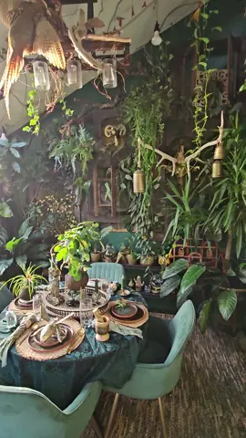 Green #green #indoorplants #rareplants #monstera #design #interiordesign #gay #hasband#hasbandandhasband #Home #monstera #design @Btoo 