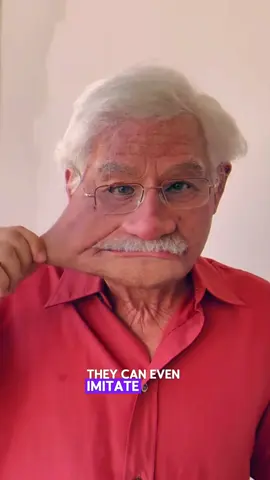 This is the most realistic mask you will ever see!😱🤡 This Italian company makes the most realistic masks you will ever see!💯 #mask #most #realistic #italian #italia #facts #fyp #fouryou #fouryourpage 