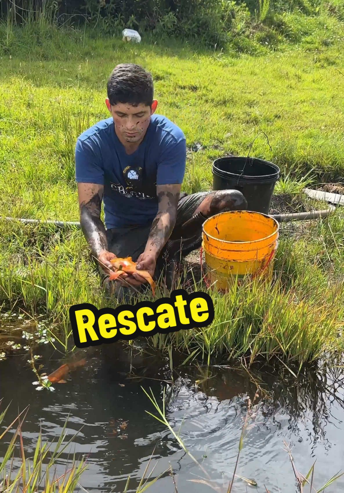 Estamos tristes por nuestra cosecha de pescados 😱😢