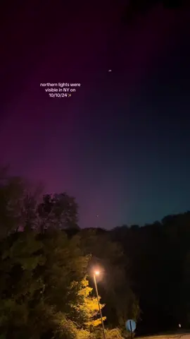 Finally saw the northern lights 🫶🏼 #northernlights #newyork #ny #aurora #auroraborealis 