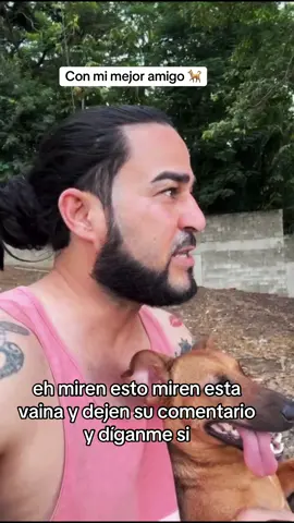 Me di cuenta que esto si tiene su logica estaba pensando que todo depende como tu lo veas #cabellolargo  #historia #cabellosano #perro #perrostiktokers #perrosgraciosos 
