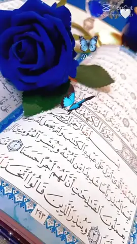 #سورة_الكهف💙🦋 
