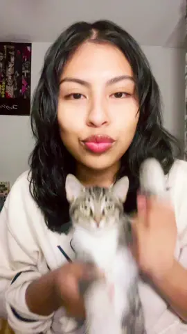 Can you tell im crazy #cat 