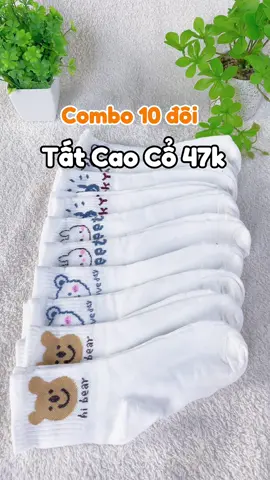 Combo 10 đôi tất cao cổ 47k #tatcaoco #tatcotton #tatnu #tatthoitrang #tathanquoc #tất #tatmuadong #tatmuahe #fyp #foryou #trending #tathottrend 
