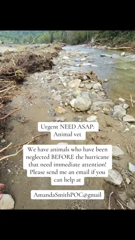 Desperately calling for an animal vet! 16 cattle, 2 donkeys and 1 horse! If you can help me, plesse reach out! #wnc #volunteersneeded #livestock 